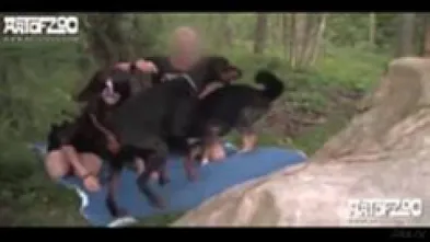 Vixen Зов дикой природы