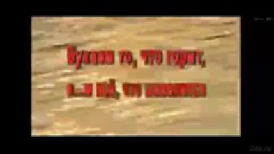 Бухаем то, что горит, имеем все, что шевелится