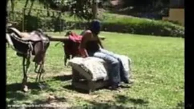 Камила и лошадь-2