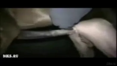 В ночном сарае