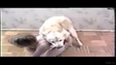 Блондиночка с питомцем