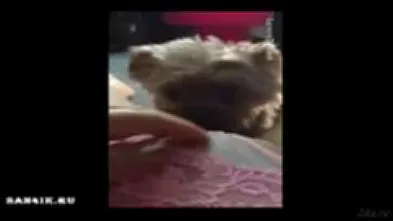 Куни через трусики от первого лица