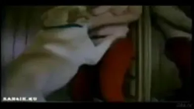 Собаки для секса