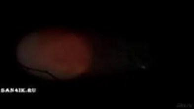 Виксен в графине 2