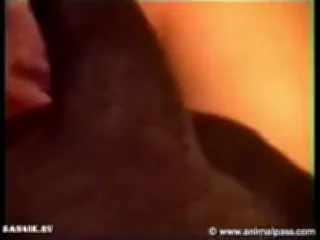 Две брюнетки лесбиянки и энди