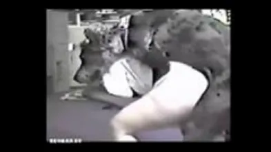 Дог трахает толстушку