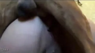 Большая подборка кобелей