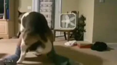 Продрал на славу