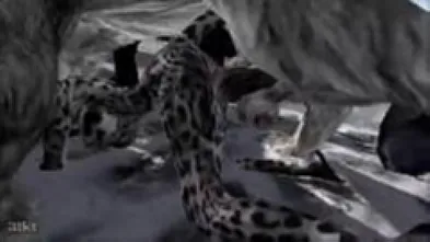 Трах со снежным барсом