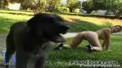 Большая зооподборка