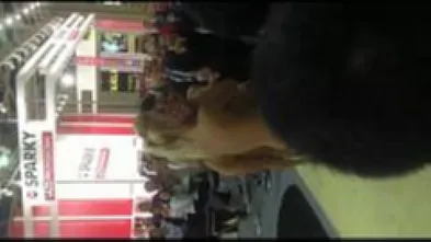 Стриптиз в магазине