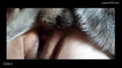 Подборка хорошего траха