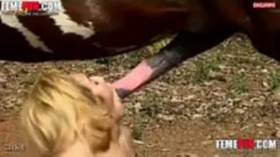 Блонди и скакун