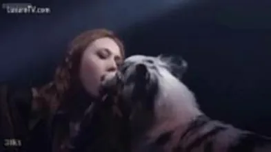 Музыкальный клип от K9