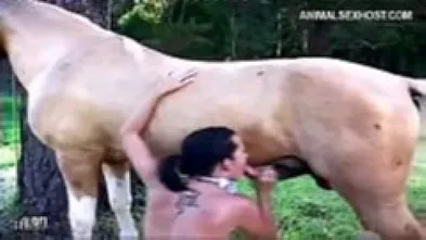 Лето проведённое в деревне