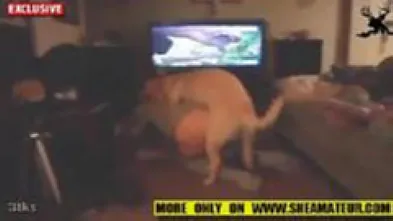 Жена и питомец