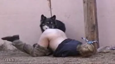 Наказание кинолога