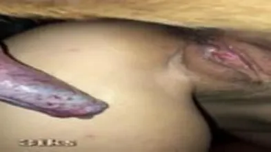 Отработанные движения