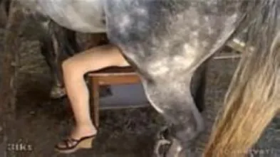 Инна радует жеребца