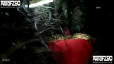 Трах ризеншнауцера и знойной брюнетки в золотой маске