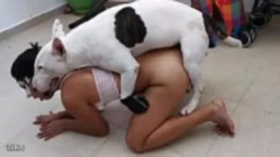 Испаночка и кобелёк