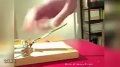 Проверил мышеловку хуем