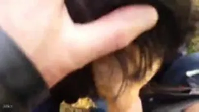 Салфетку давай извращенец